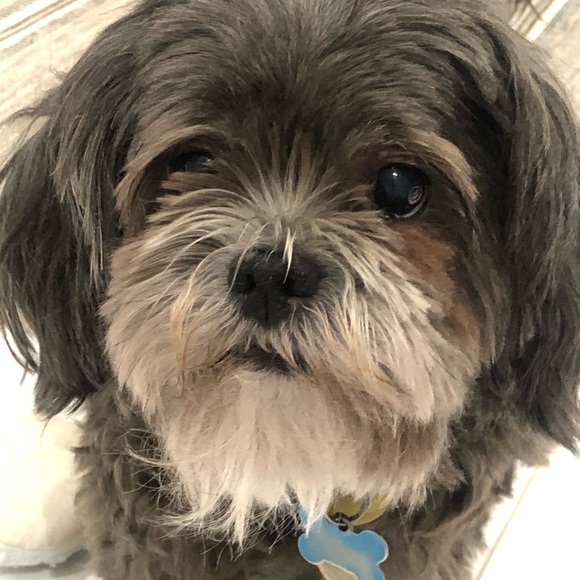 Meet your Posher Ella - Picture 14 of 14